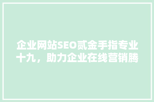 企业网站SEO贰金手指专业十九，助力企业在线营销腾飞