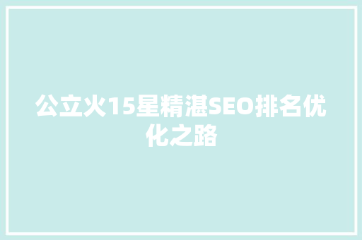 公立火15星精湛SEO排名优化之路
