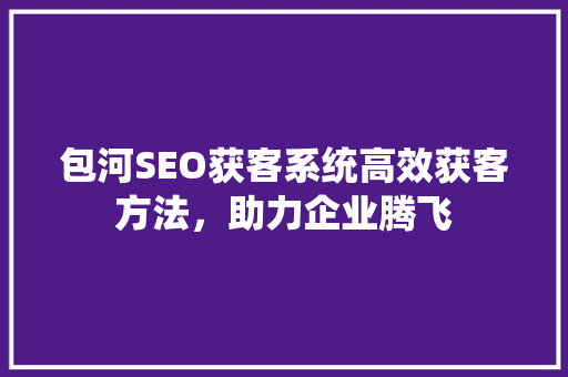 包河SEO获客系统高效获客方法，助力企业腾飞