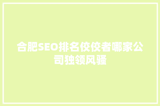 合肥SEO排名佼佼者哪家公司独领风骚