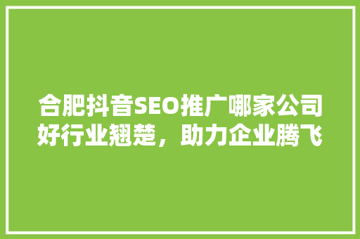 合肥抖音SEO推广哪家公司好行业翘楚，助力企业腾飞