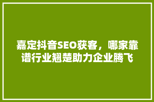 嘉定抖音SEO获客，哪家靠谱行业翘楚助力企业腾飞