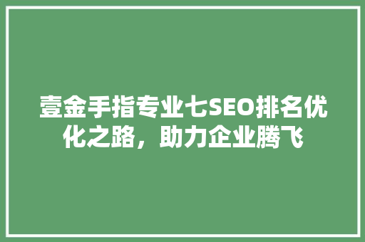 壹金手指专业七SEO排名优化之路，助力企业腾飞
