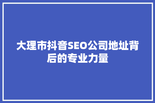 大理市抖音SEO公司地址背后的专业力量