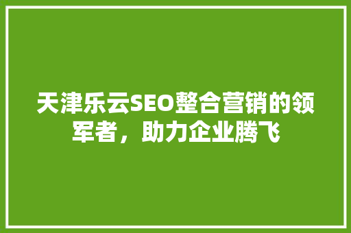 天津乐云SEO整合营销的领军者，助力企业腾飞