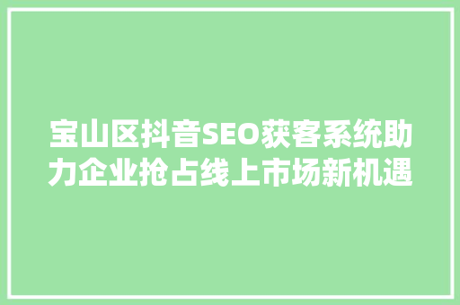 宝山区抖音SEO获客系统助力企业抢占线上市场新机遇