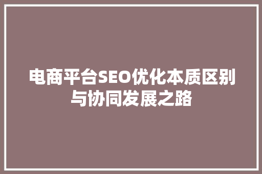 电商平台SEO优化本质区别与协同发展之路