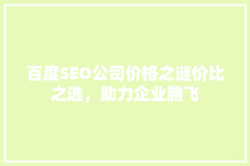 百度SEO公司价格之谜价比之选，助力企业腾飞