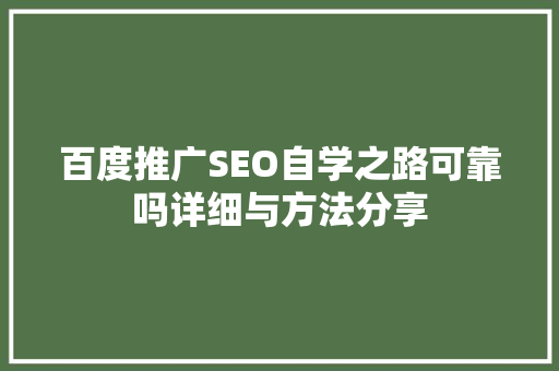 百度推广SEO自学之路可靠吗详细与方法分享