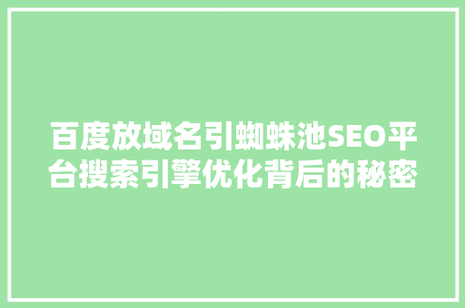 百度放域名引蜘蛛池SEO平台搜索引擎优化背后的秘密