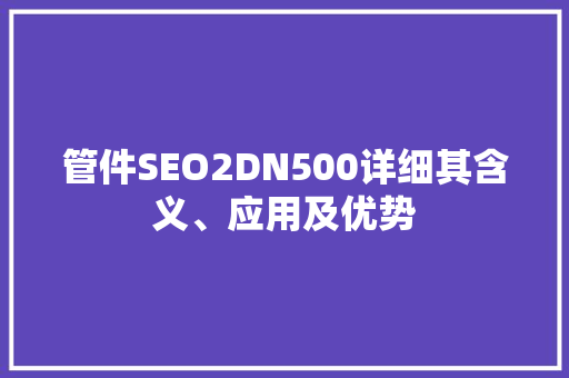 管件SEO2DN500详细其含义、应用及优势