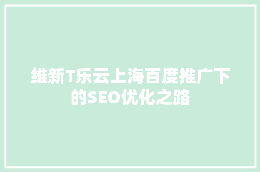 维新T乐云上海百度推广下的SEO优化之路