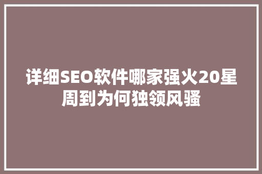 详细SEO软件哪家强火20星周到为何独领风骚