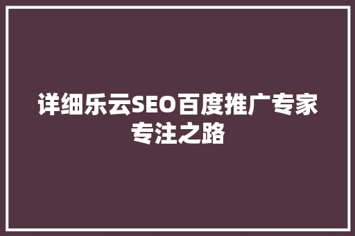 详细乐云SEO百度推广专家专注之路
