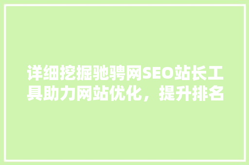 详细挖掘驰骋网SEO站长工具助力网站优化，提升排名的得力助手