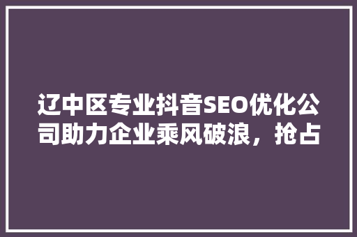 辽中区专业抖音SEO优化公司助力企业乘风破浪，抢占流量高地