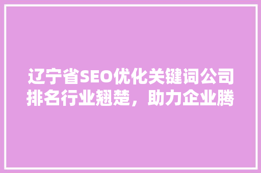 辽宁省SEO优化关键词公司排名行业翘楚，助力企业腾飞