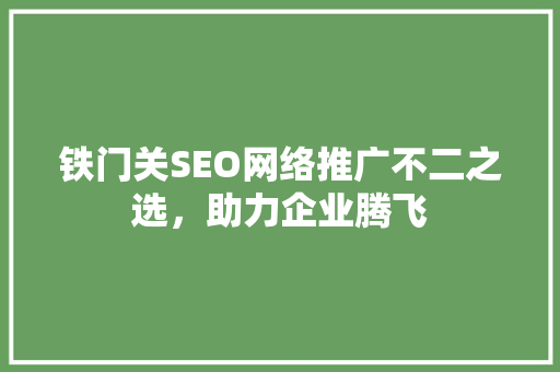 铁门关SEO网络推广不二之选，助力企业腾飞