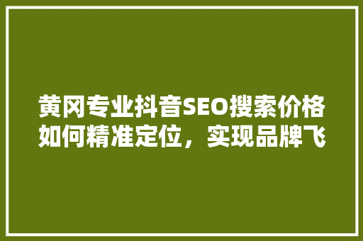 黄冈专业抖音SEO搜索价格如何精准定位，实现品牌飞跃