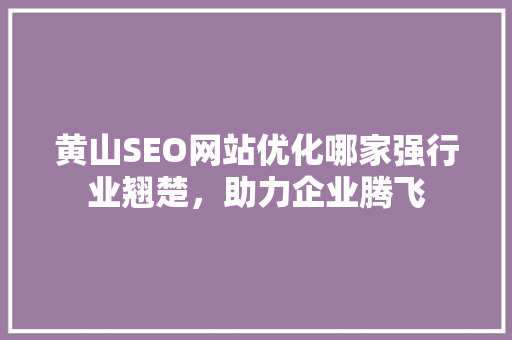 黄山SEO网站优化哪家强行业翘楚，助力企业腾飞