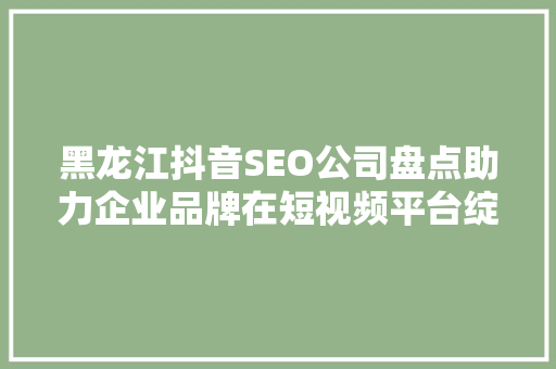 黑龙江抖音SEO公司盘点助力企业品牌在短视频平台绽放光彩