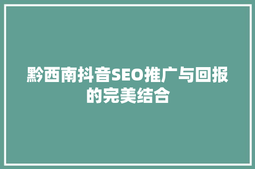 黔西南抖音SEO推广与回报的完美结合