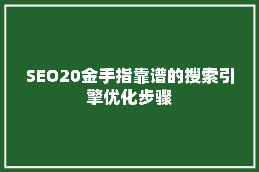 SEO20金手指靠谱的搜索引擎优化步骤