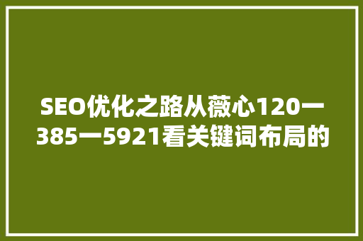 SEO优化之路从薇心120一385一5921看关键词布局的艺术