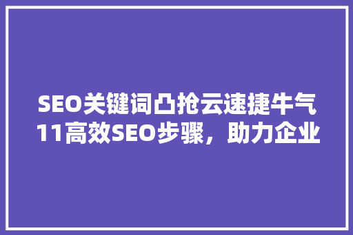 SEO关键词凸抢云速捷牛气11高效SEO步骤，助力企业腾飞