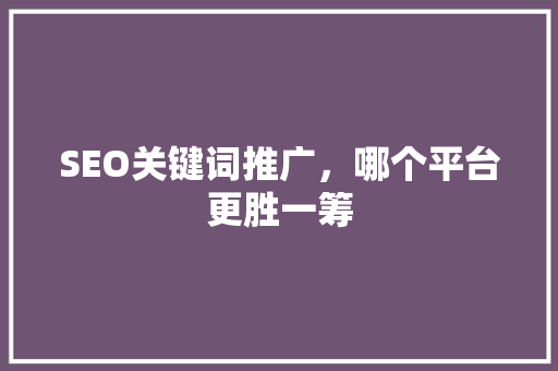 SEO关键词推广，哪个平台更胜一筹