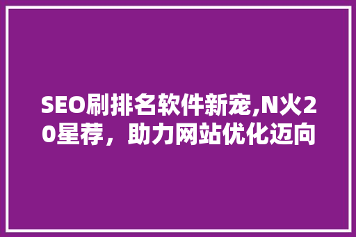 SEO刷排名软件新宠,N火20星荐，助力网站优化迈向新高度