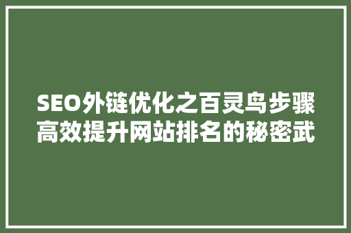 SEO外链优化之百灵鸟步骤高效提升网站排名的秘密武器