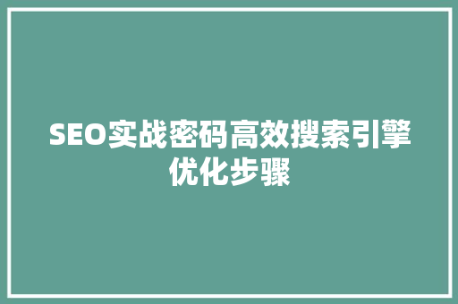 SEO实战密码高效搜索引擎优化步骤