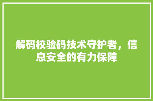 解码校验码技术守护者，信息安全的有力保障