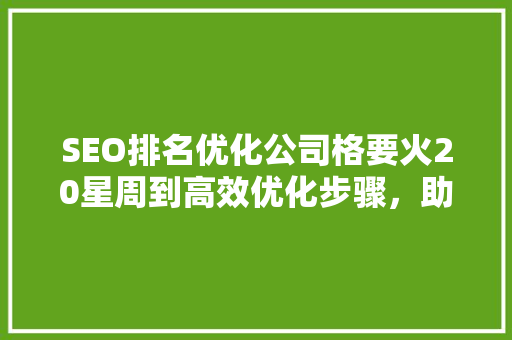 SEO排名优化公司格要火20星周到高效优化步骤，助力企业互联网腾飞