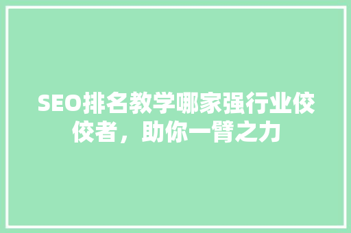 SEO排名教学哪家强行业佼佼者，助你一臂之力