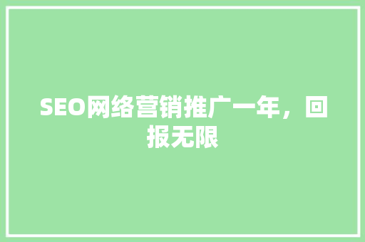 SEO网络营销推广一年，回报无限