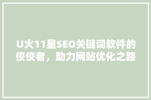 U火11星SEO关键词软件的佼佼者，助力网站优化之路