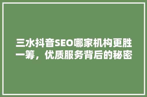 三水抖音SEO哪家机构更胜一筹，优质服务背后的秘密