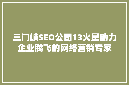 三门峡SEO公司13火星助力企业腾飞的网络营销专家