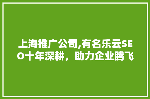 上海推广公司,有名乐云SEO十年深耕，助力企业腾飞