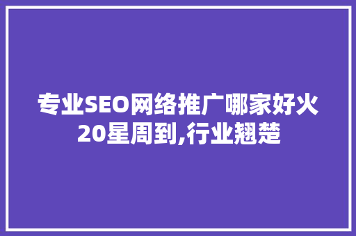 专业SEO网络推广哪家好火20星周到,行业翘楚