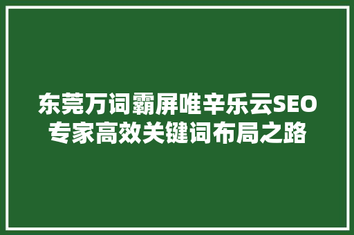 东莞万词霸屏唯辛乐云SEO专家高效关键词布局之路