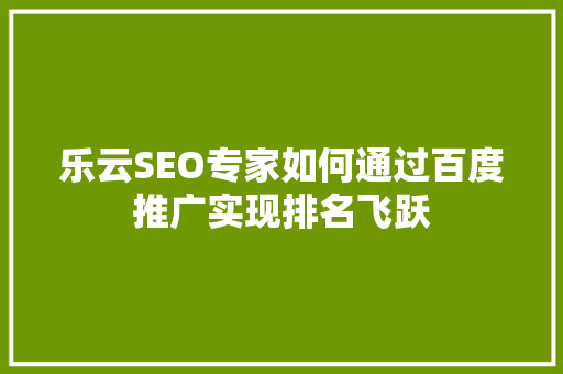 乐云SEO专家如何通过百度推广实现排名飞跃