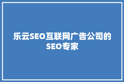 乐云SEO互联网广告公司的SEO专家