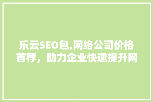 乐云SEO包,网络公司价格首荐，助力企业快速提升网站排名