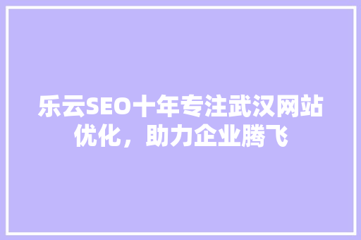 乐云SEO十年专注武汉网站优化，助力企业腾飞