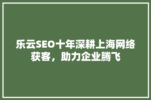 乐云SEO十年深耕上海网络获客，助力企业腾飞