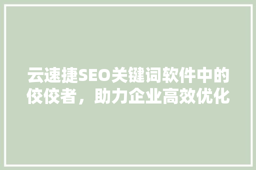云速捷SEO关键词软件中的佼佼者，助力企业高效优化