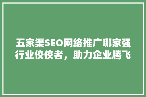 五家渠SEO网络推广哪家强行业佼佼者，助力企业腾飞